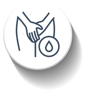 ikona